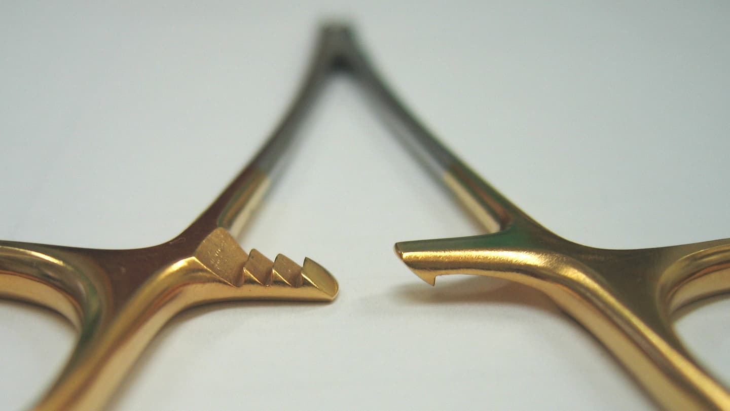 HHP_med_photo2